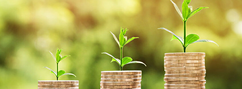 Hedge Funds This Year, Explained